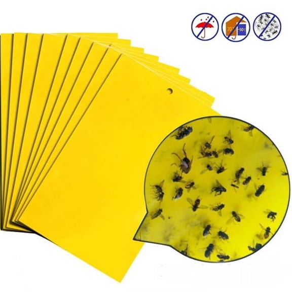 20 Pack Strong Flies Traps Bugs Sticky Board Catching Aphid Insects Pest Killer