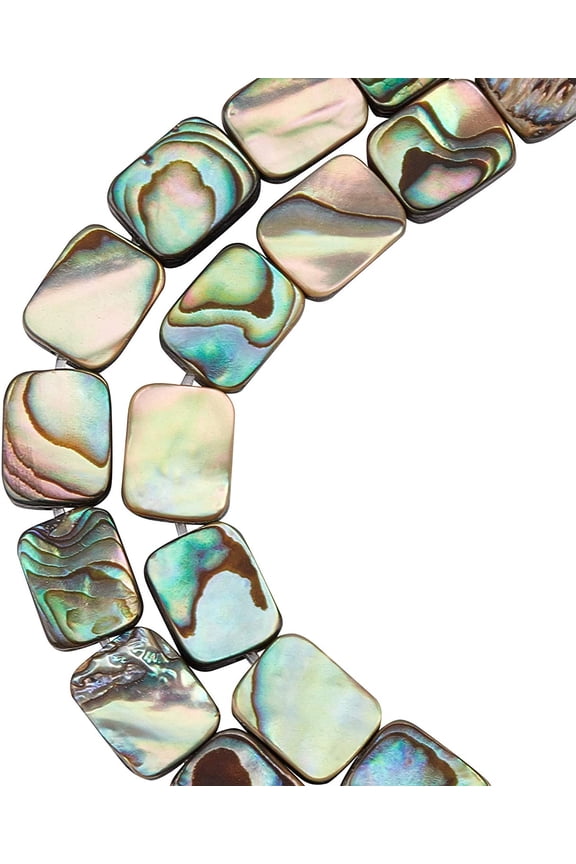 20 Packs Natural Abalone Shell Rectangle Charms Abalone Shell Beads with Storage Containers
