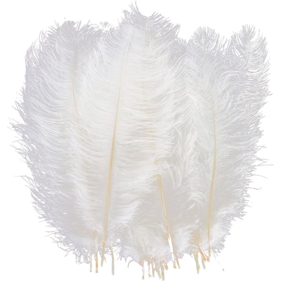 20 Pcs 10-12 inch (25-30cm) Natural Ostrich Feathers,Bexikou White Craft Ostrich Feathers for Wedding Centerpieces Home Decoration, Flower Arrangement,DIY Christmas Decorations