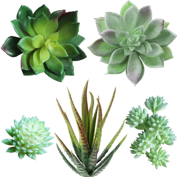 20 Pcs Assorted Artificial Succulents Bulk Green Cactus Echeveria Picks for Wreath Floral Arrangement Home Dcor
