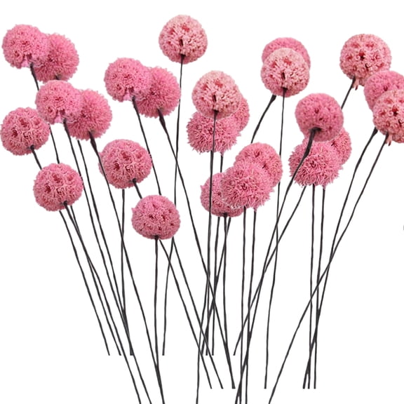 20 Pcs Ball Flowers Dried Flowers Dried Flowers Flowers Bouquet Bulk Dried Floral Bouquet Arrangements 17 Inch Dried Flowers with Stems for Home Centerpieces Vase DIY Decor,Pink,16 inch
