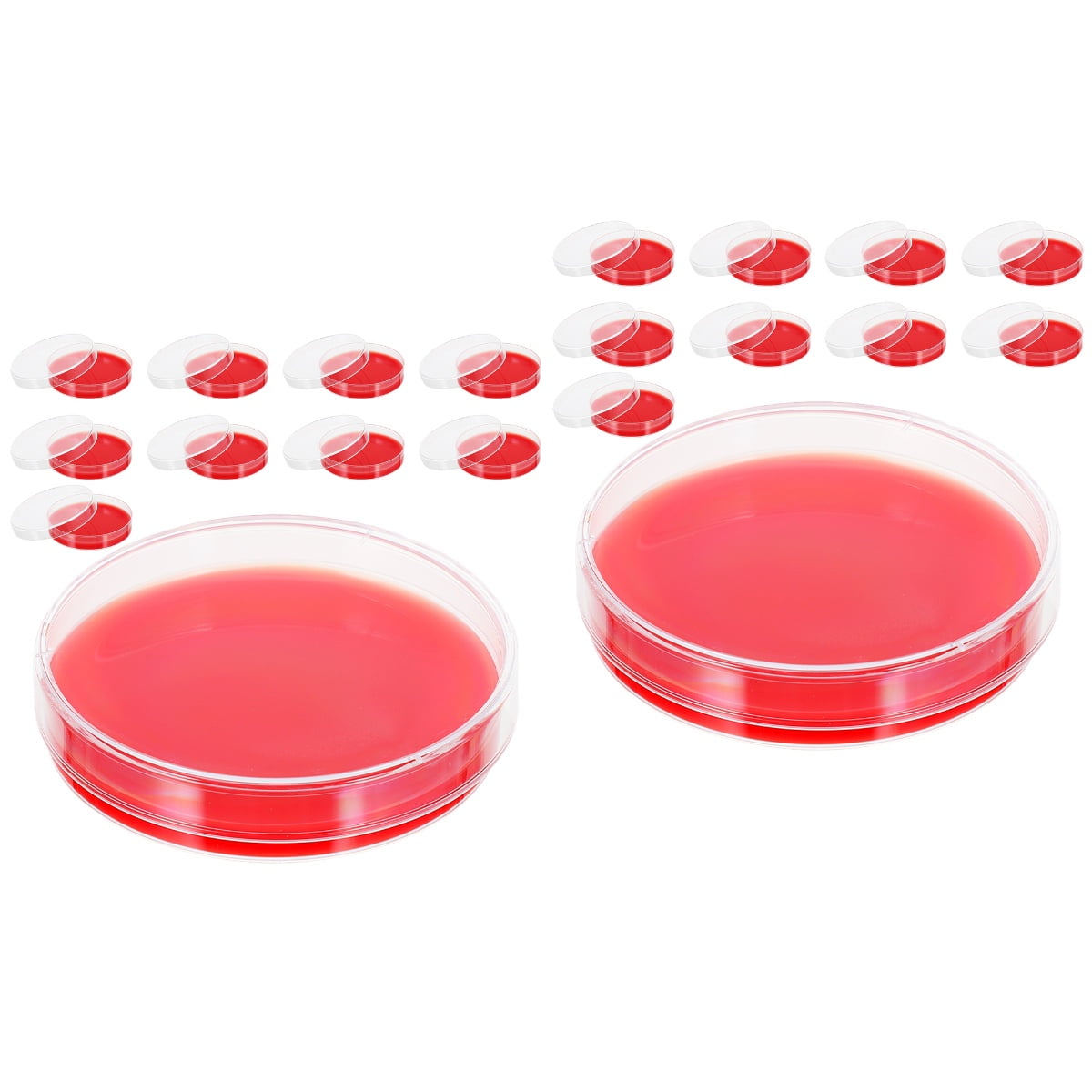 20 Pcs Blood Agar Plate Petri Dishes with Lids Lab Equipment Simple