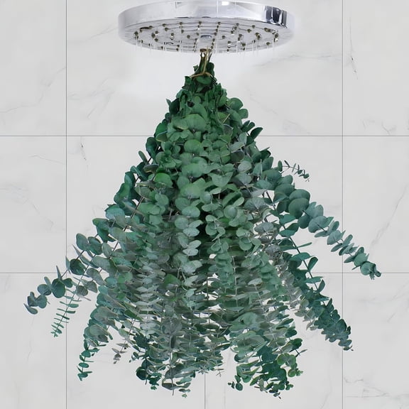 20 Pcs Dried Eucalyptus for Shower - Real Eucalyptus Stems,17'' Fresh 100% Natural Leaves & Aromatic for Shower Spray, Home Decor, Party Present, Wedding Gift