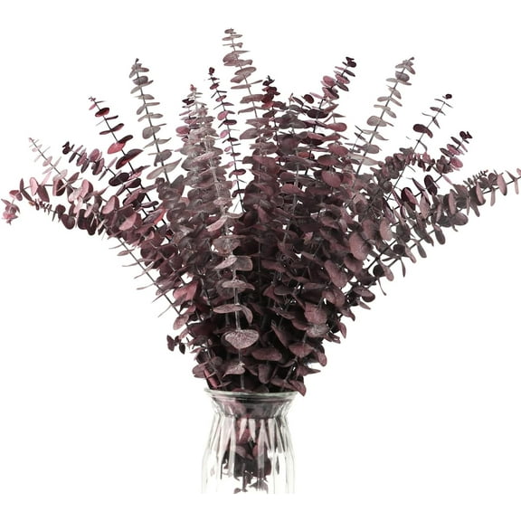 20 Pcs Dried Eucalyptus Stems 17" Eucalyptus Decor ,Fresh Eucalyptus Leaves Artificial Eucalyptus for Shower Hanging, Wedding Decor Home Decor Farmhouse Decor DIY Artificial Plants,Red
