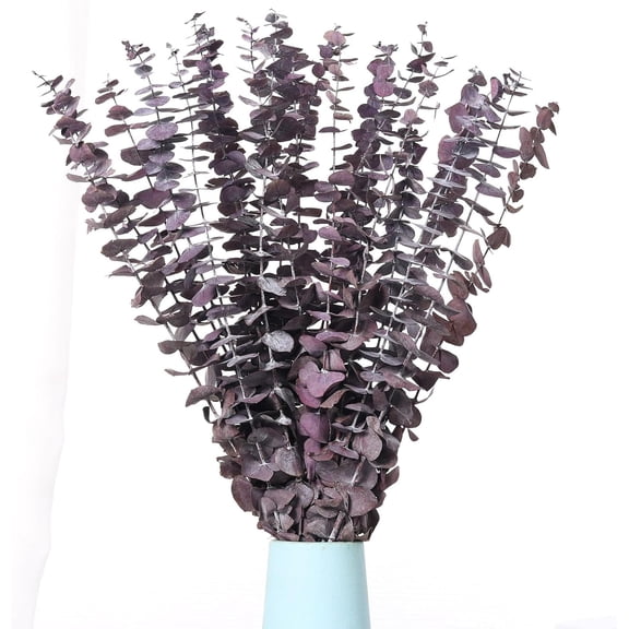 20 Pcs Dried Eucalyptus Stems, 17'' Natural Real Live Purple Leaves Branches Hanging Shower, Preserved Plants for SPA Home Fragrance Bathroom Table Vase Decor