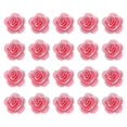 thumbnail image 1 of 20 Pcs Floral Applique, 3D Flower Lace Applique Sew on Patch Decoration for DIY Craft Projects, 2.8cm Hot Pink, 1 of 7