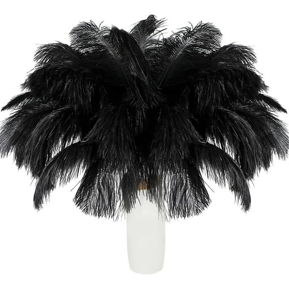 20 Pcs Large Natural Black Ostrich Feathers Bulk 8-10inch for Wedding Party Centerpieces and DIY Crafts, Plumes Flower Arrangement and Home Vase Decoration by GIXUSIL