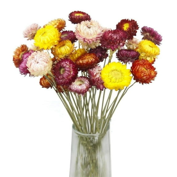 20 Pcs Multicolor Dried Flowers Bouquet Fall Orange Daisies Sunflowers Chrysanthemum Artificial Dried Daisy for Wedding Birthday Farmhouse Garden Table Vase Decorations By Scheam