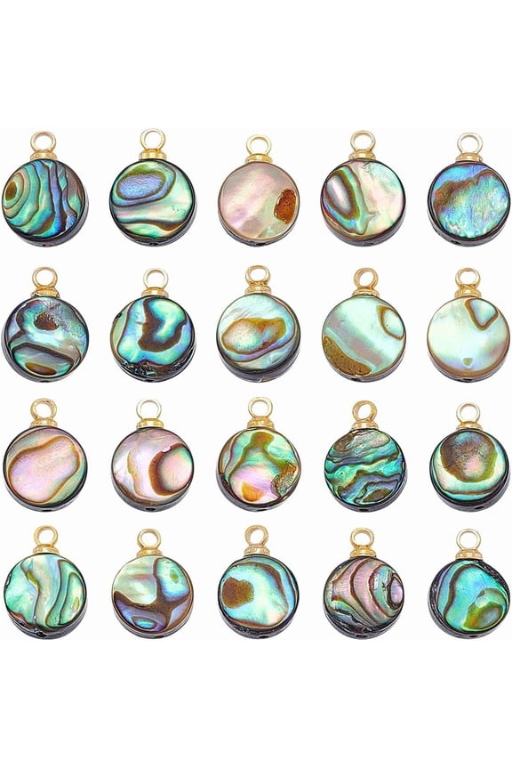 20 Pcs Natural Abalone Shell Charms Flat Round Paua Shell Connectors Pendants with Storage Containers for DIY Crafts Necklace Bracelet Jewelry Making Gold DIY
