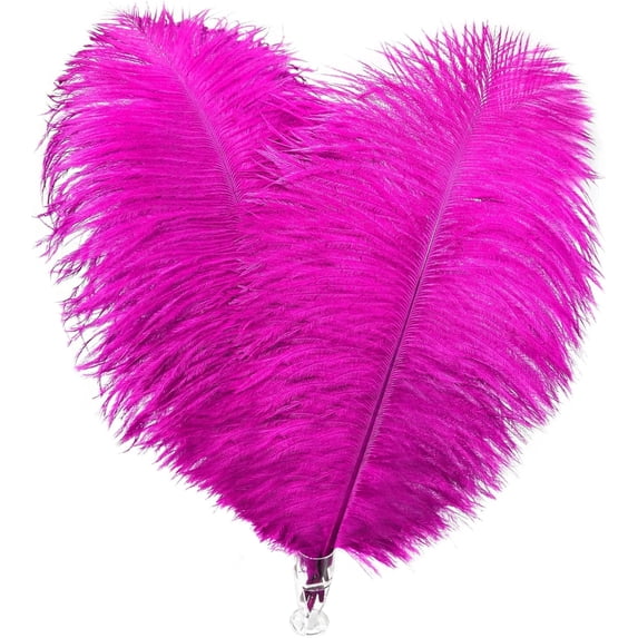 20 Pcs Natural Ostrich Feathers,8-10 Inch/ 20-25 cm Plumes Feathers for Crafts,Rose Red Ostrich Feathers Bulk for DIY Home Decoration Christmas Wedding Party Centerpieces Vase Decor