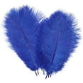 thumbnail image 1 of 20 Pcs Natural Ostrich Feathers,Bexikou 8-10inch Ostrich Feathers Plume for Wedding Centerpieces Home Decoration, 1 of 7