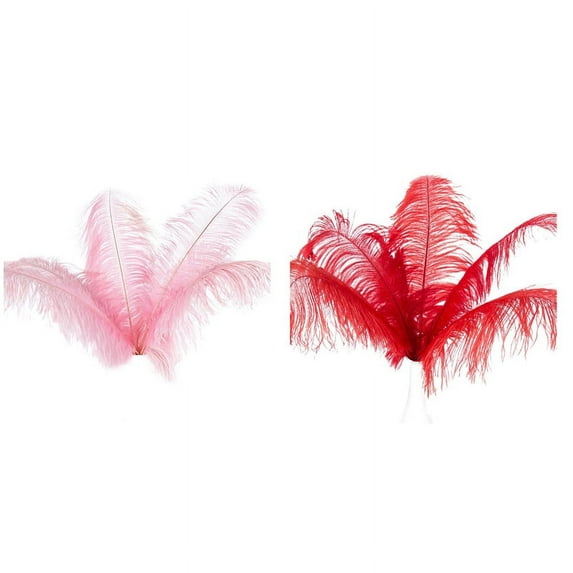20 Pcs Natural Ostrich Feathers Wedding Decoration 20-25cm,