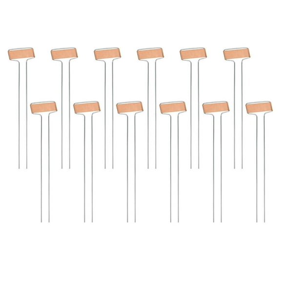 BESTOYARD Vegetable Garden Sign Steel Wire 20Pcs 10x2.6in Rose Gold Reusable Metal Label Stakes