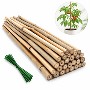 Artrylin 20 Pcs Plant Stakes,Bamboo Garden Stakes for Plants,Natural Garden Bamboo Sticks,Support Stakes for Potted Plants,Bamboo Sticks for Tomatoes,Beans and Vegetable Beige