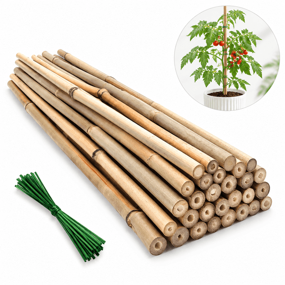 Artrylin 20 Pcs Plant Stakes,Bamboo Garden Stakes for Plants,Natural Garden Bamboo Sticks,Support Stakes for Potted Plants,Bamboo Sticks for Tomatoes,Beans and Vegetable (Beige)
