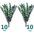 thumbnail image 1 of 20 Pcs Preserved Dried Eucalyptus Stems, Dried Eucalyptus for Shower, 17 '' Preserved Eucalyptus Leaves,Real Plant for Vase Filler, Dried Flowers Arrangement, Floral Home Decor, 1 of 9