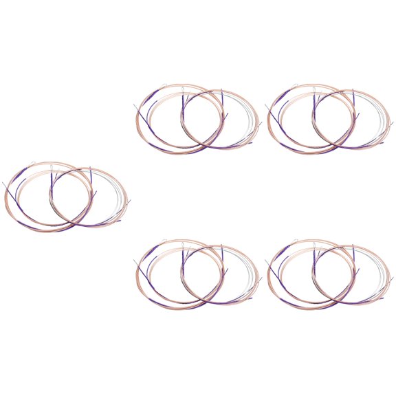 20 Pcs Professional Strings for Pipa Practical Chinese Pipa Strings Chinese Lute Practice Strings