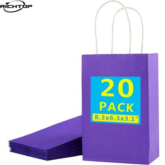 20 Pcs Purple Gift Bags with Handles – 8" Goodie Bags for Party Favor Bags, Baby Showers, Birthdays & Special Occasions (Purple)