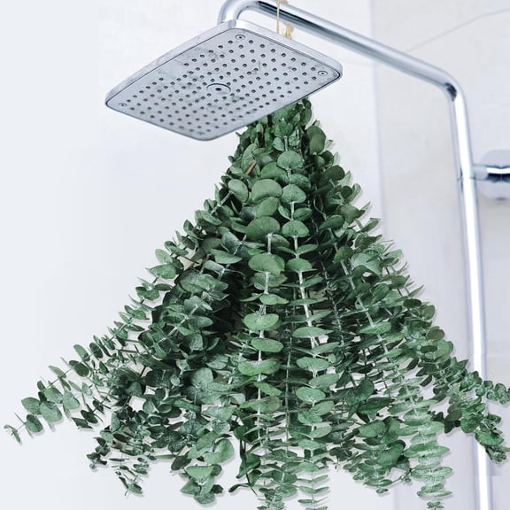 20 Pcs Real Dried Eucalyptus Stems, 17" Natural Fresh Eucalyptus Branches for Shower, Greenery Leaves for Vase Filler, Fragrance, Fresh Silk Dry Live Plants Decor