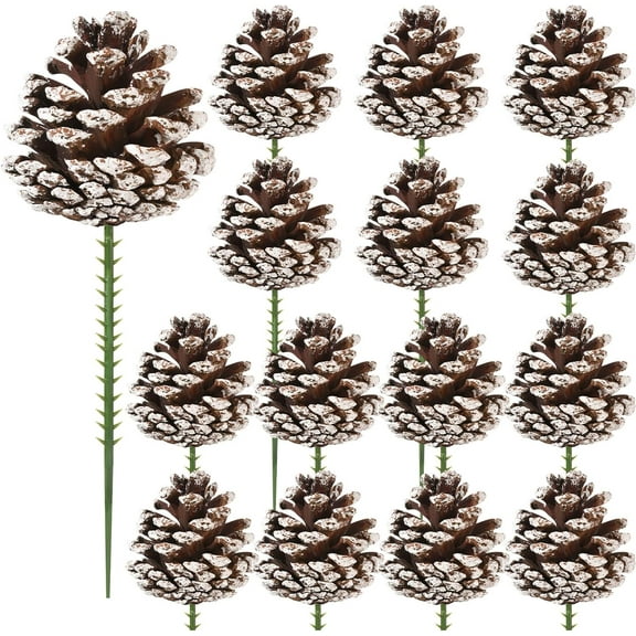 20 Pcs Rustic Christmas Pine Cones Trianu 2 " Christmas Tree Snow Pine Cone with Wired Picks White Craft Pinecones Natural Pine Cones Decorations for Holiday Wreath Garland Party Ornaments