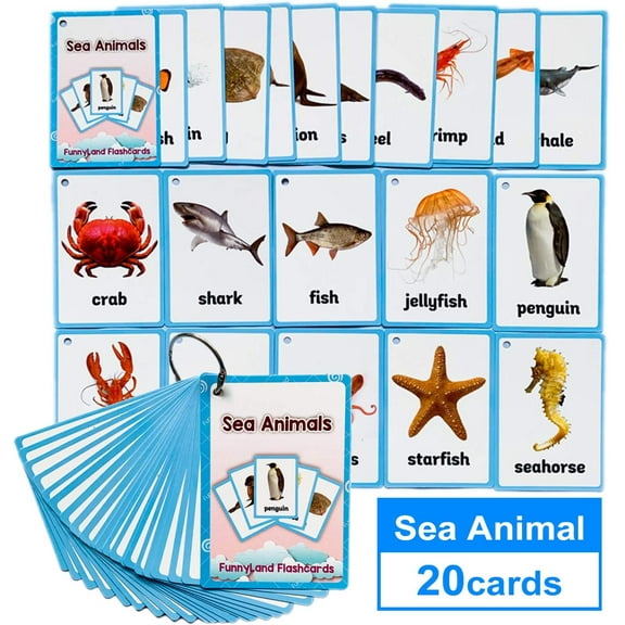 20 Pcs/Set Sea Animals Flash Cards | Learning Toys Flashcards for Children Pre-K, Toddlers and Kids