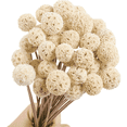 thumbnail image 1 of 20 Pcs White Dried Flowers,Natural Billy Balls Flowers,Dried Craspedia Flowers,White Floral Buttons Bouquet,Boho Vase Filler,Wedding Decoration Table Centerpieces (17inch), 1 of 6
