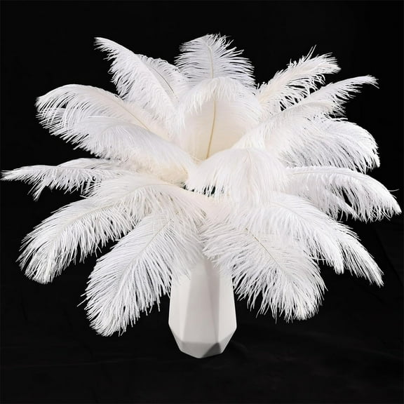 20 Pcs White Ostrich Feathers Tutuviw 8-10 inch Natural Ostrich Feathers Bulk Plumes Feathers Bulk for Home DIY Clothes Decoration,Craft Feathers for Christmas Decorations(White)