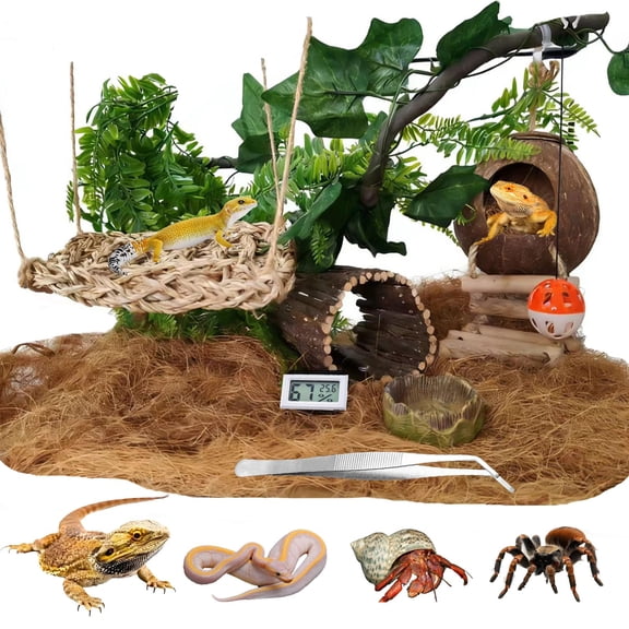 20-Piece Reptile Terrarium Accessory Kit for Lizards, Geckos and Chameleons