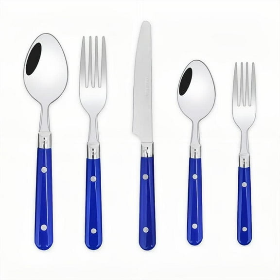 20-Piece Stainless Steel Cutlery Set – Thickened 304 Silverware For Steak, Dessert & Fruit (Blue, Dishwasher Safe)