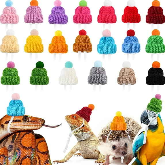 20 Pieces Pet Snake Hat with Adjustable Elastic Strap, Snake Ball Python Hamster Lizard Guinea Pig Knitted Hat with Pompon for Small Reptile Animal Decoration Accessories