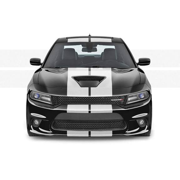 20 Racing Stripes w/pins Self Healing fits Chevrolet Corvette C6 ZR1 2005 2013
