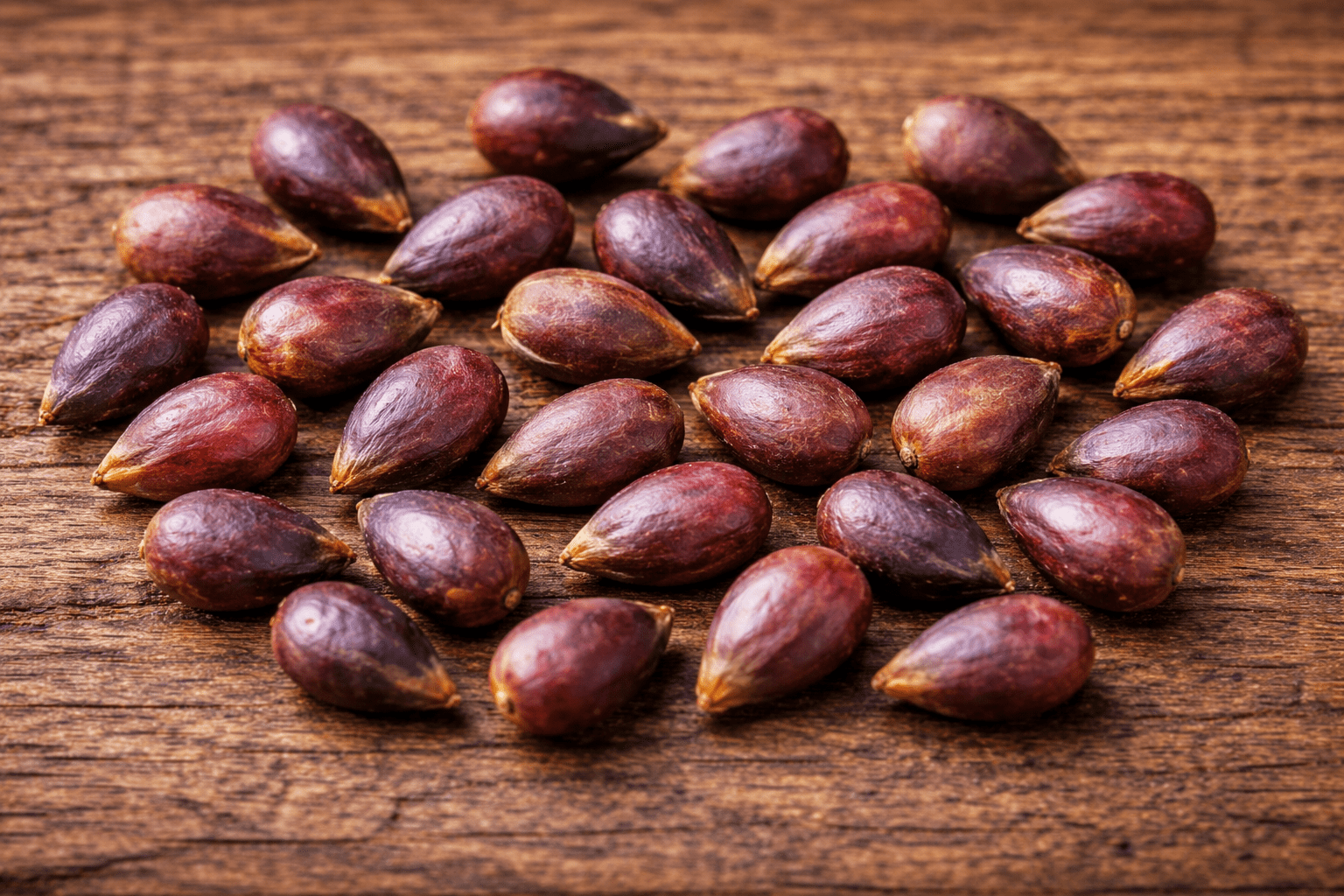 Grape Seeds in Seed Gardening - Walmart.com