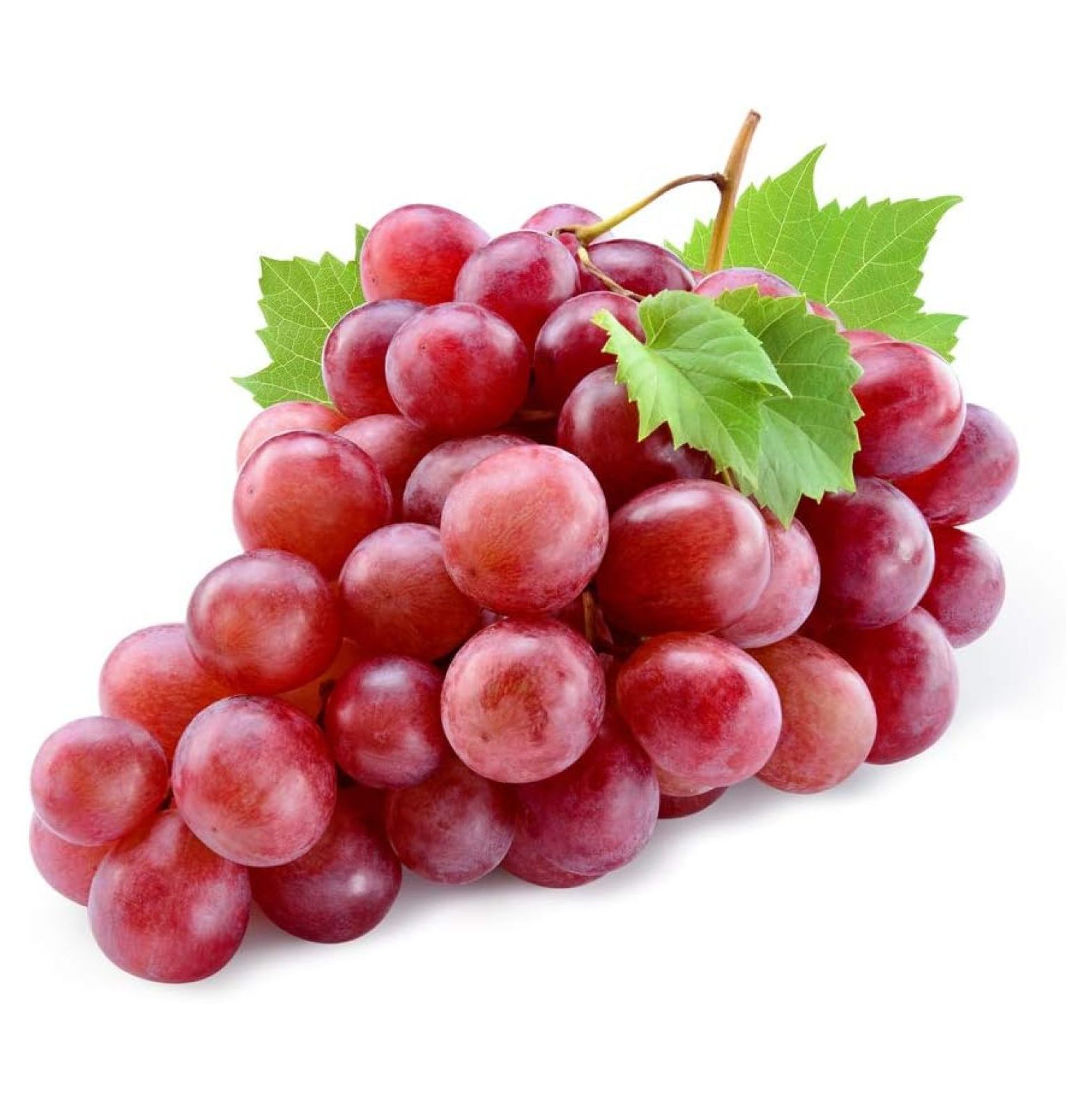 20+ Red Concord Grape Seeds Grow Grape Vines for Wine Making, Fruit