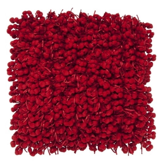 Cloud9 Design Pompom Red 20" x 20" Woven Cotton Decorative Pillow