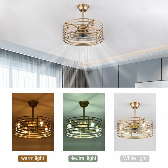 20" Retro Metal Caged Ceiling Fan Light Gold 40W AC 110-120V with Remote Control