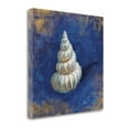 thumbnail image 1 of 20" Rustic Deep Blue and Gold Shell Giclee Wrap Canvas Wall Art, 1 of 1