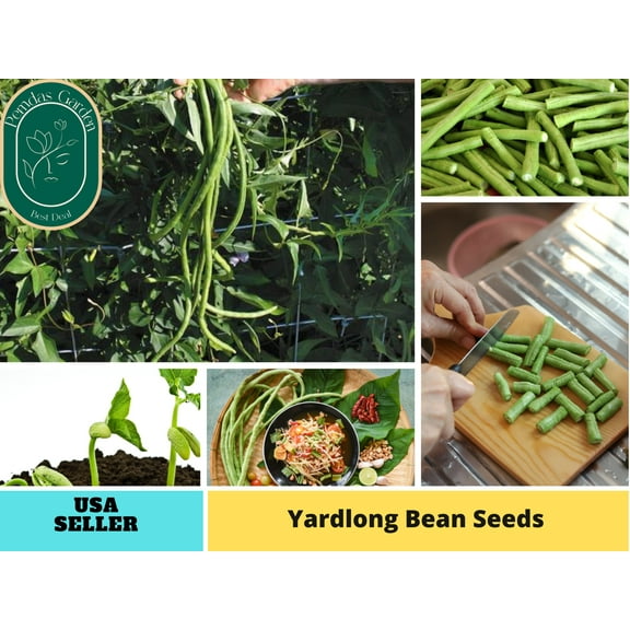 20 Seeds| Bean Seeds, Yard Long Seeds - Authentic Seeds ~ GMO Free ~ Seeds~Flower seeds~ Vegetable seeds~ Asian Garden~Herbs B5G1 #7038