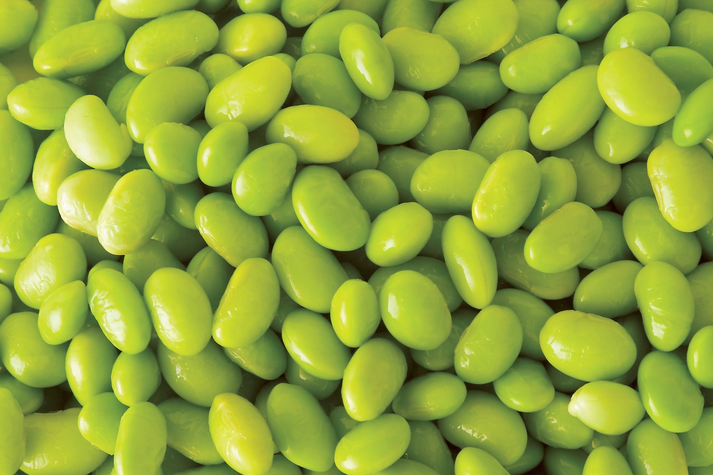 20 Seeds Edamame Green ENVY SOYBEAN Glycine Max Soy Bean Vegetable