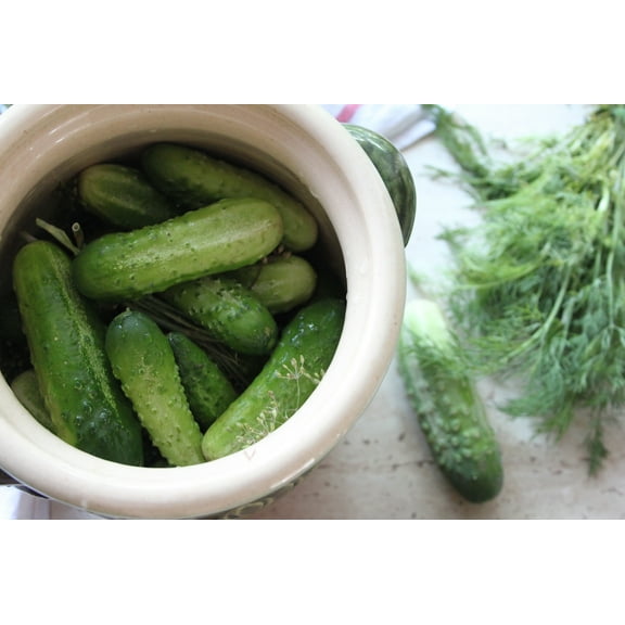 20 Seeds = = Homemade Pickles Cucumber - Seed Pack -All Natural Seed