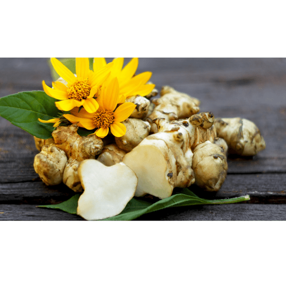 20 Seeds Jerusalem Artichokes Seeds for Planting, Sunchoke Helianthus Tuberosus Seeds for Outdoor Garden