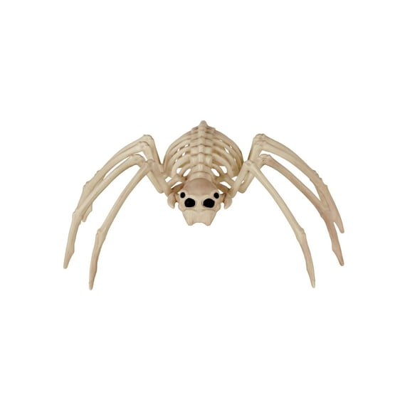 20" Spider Skeleton Decoration