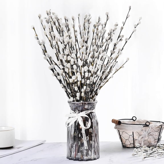 20 Stems Dried Pussywillow Preserved Greenery Branches 12 inch Snow Willow Branches Natural Pussy Willows Branches Dried Pussy Willow Branches for Vase Snow Pussywillows for Indoor and Outdoor Decor
