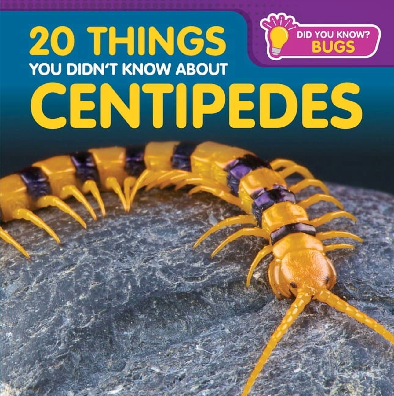 Did You Know? Bugs 20 Things You Didn't Know about Centipedes, (Hardcover)