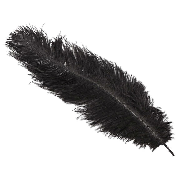 20 X Natural Ostrich 25-30 Cm Black Party Decoration