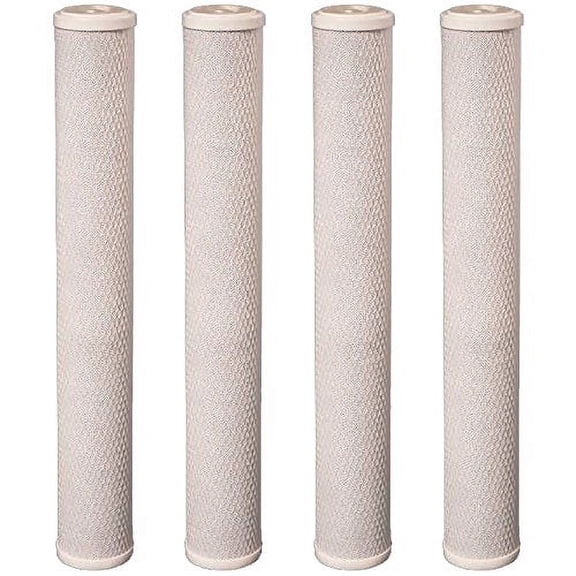 CFS 20" x 2.5" Whole House Water Filter Cartridge, Chlorine Taste & Odor Reduction, Carbon Block