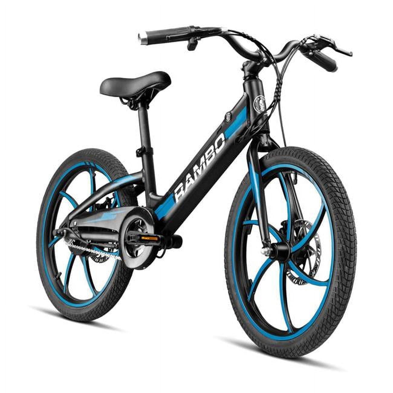 20 in. 250 watt the Trailbreaker Kids Electric Bike - Matte Black