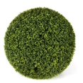 thumbnail image 1 of 20 in. Boxwood Ball- Green, 1 of 1