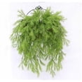 thumbnail image 1 of 20 in. Pine Wall Basket Packed 1 by 6 - Green, 1 of 1