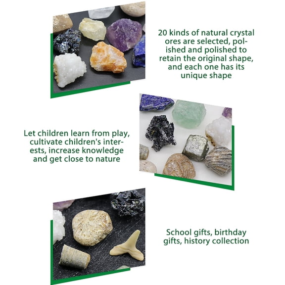 20 kinds of Mini Crystal Agate Stone Rocks Minerals Fossils Kids Teaching Materials for Geology Enthusiasts Collection Gifts