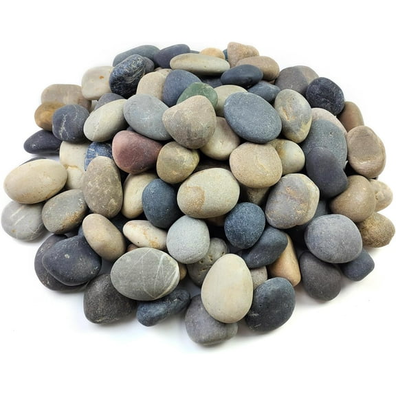 20lbs Natural Mexican Beach Pebbles 2-3 Inch, Decorative River Rocks for Garden Landscaping Walkways Crafting and Outdoor Decor